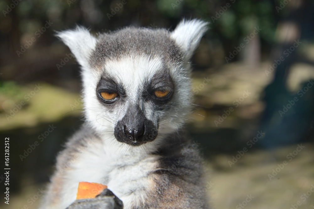 Obraz premium Sentirsi osservati