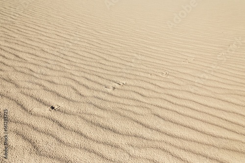 Sandy waves  sand on the beach or desert with footprints texture pattern