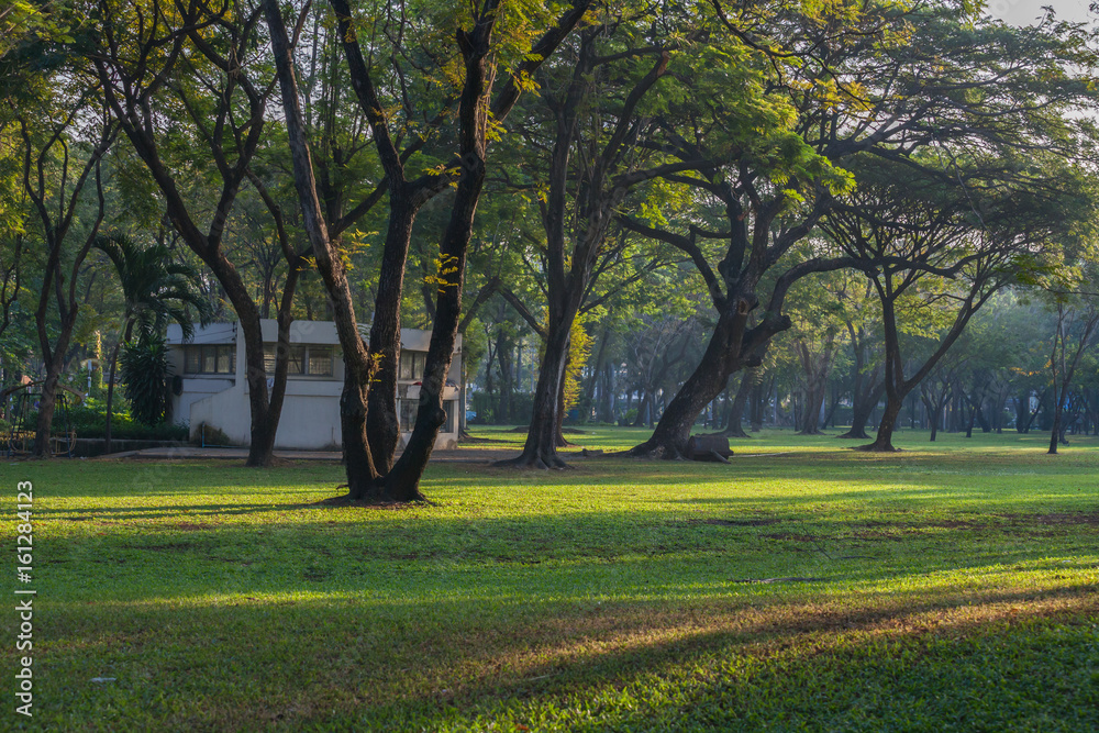 Beautiful morning scene in the park at Bangkok. Thailand.