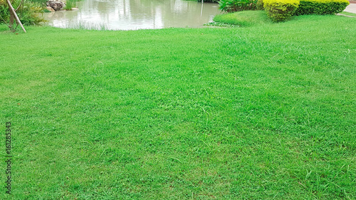Large Lawn with pond in the garden