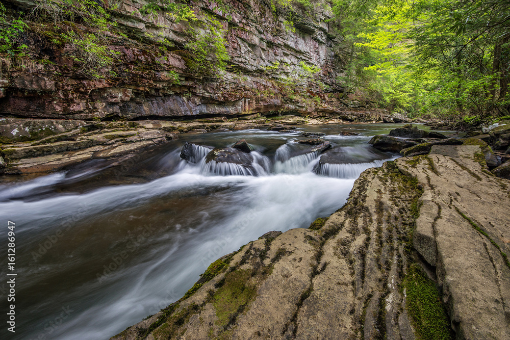 flowing water and summer foliage at the bottom of piney creek gorge in tennessee flowing water and summer foliage at the bottom of piney creek gorge in tennessee