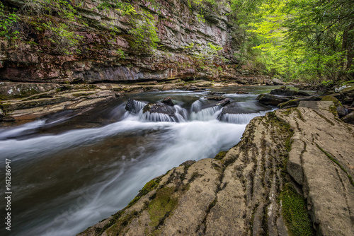 flowing water and summer foliage at the bottom of piney creek gorge in tennessee