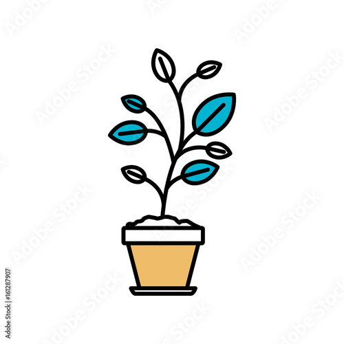 color sections silhouette of plant in flower pot vector illustration