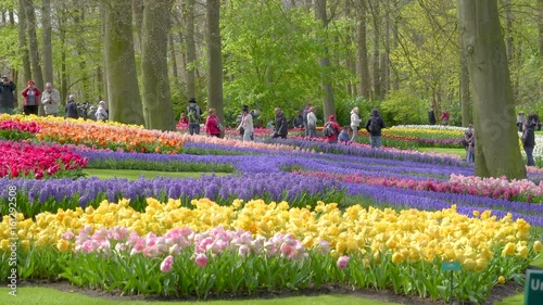 929_View_of_the_colorful_flowers_in_the_middle_of_the_park.mov