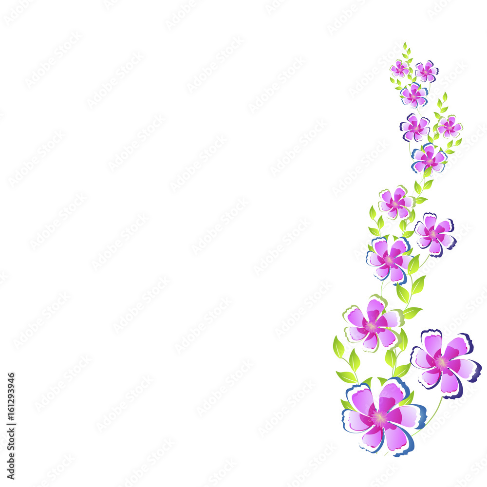 beautiful flowers beautiful flowers