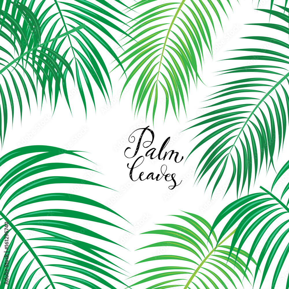  Seamless Background with Tropical Leaves 