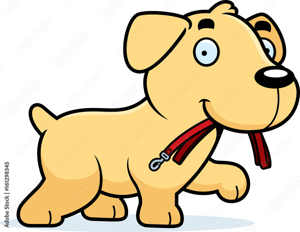 Cartoon Labrador Leash Cartoon Labrador Leash