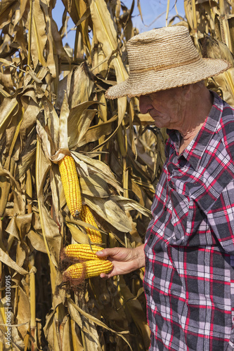 Farmer with corn in his hand