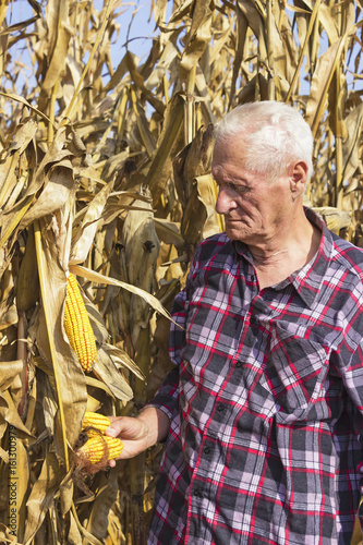 Old man with corn in his hand