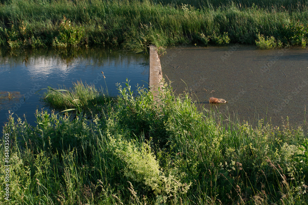 Naklejka premium Environmental pollution,