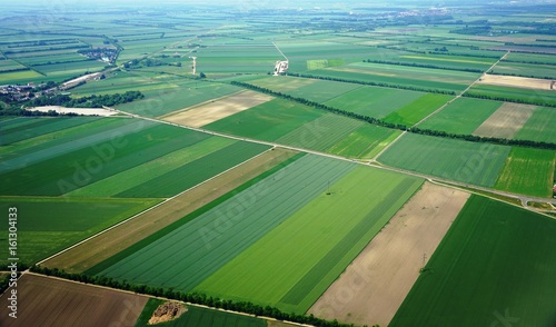 Fields in colorful shades of green in the countryside near Vienna, Austria