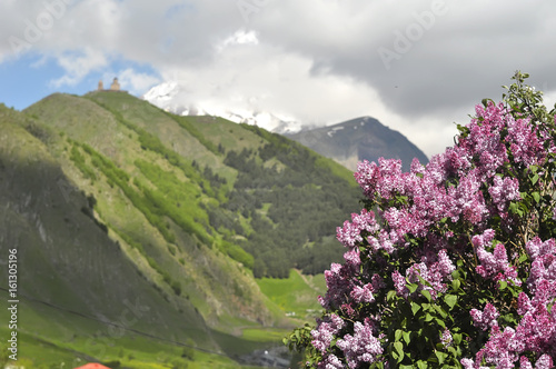 Spring landscape in georgian caucasus mountains