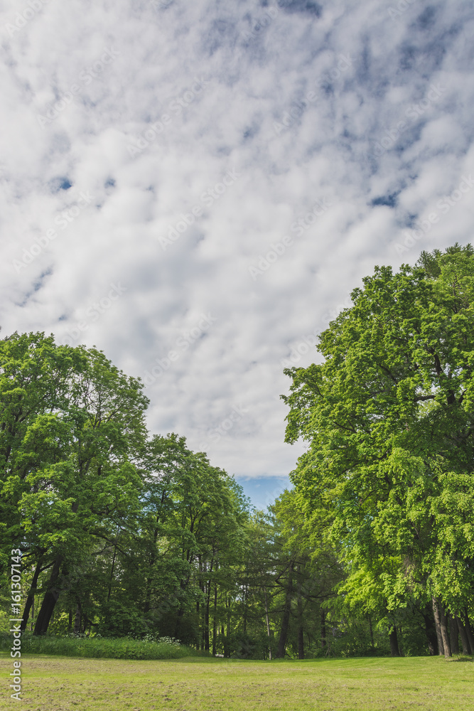 Obraz premium NATURE