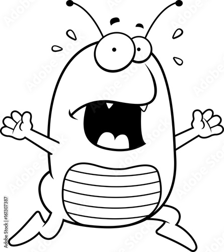 Flea Panic