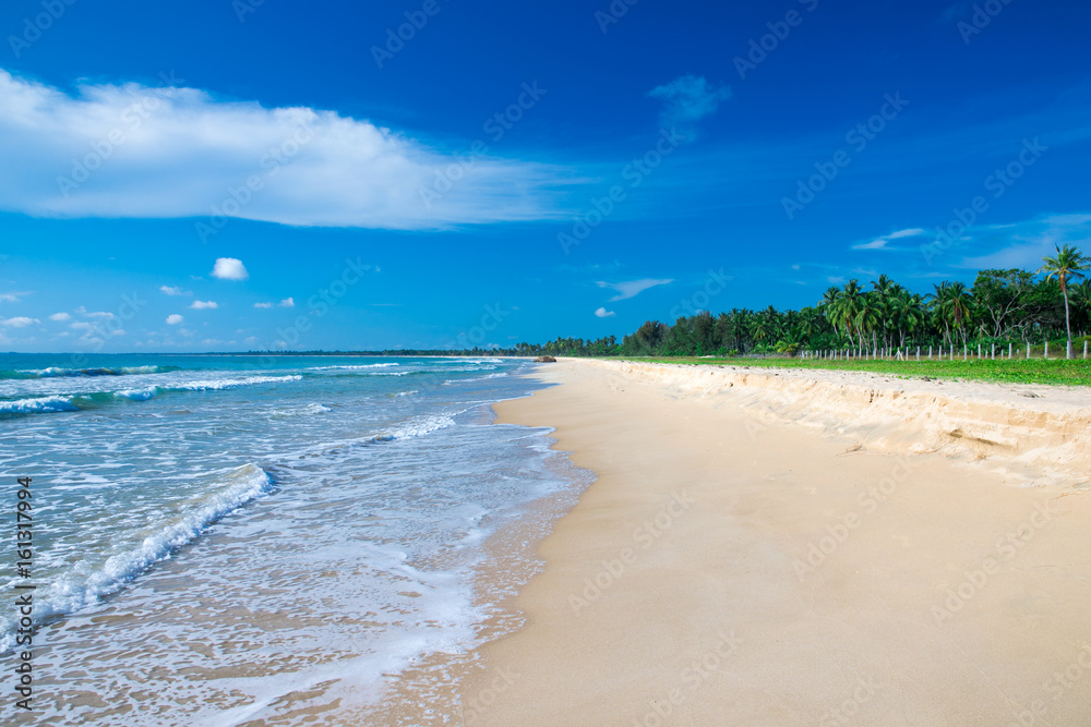  beach and tropical sea