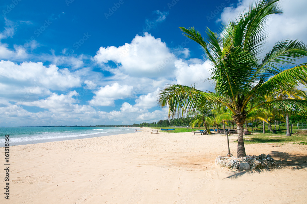 Obraz premium beach and tropical sea