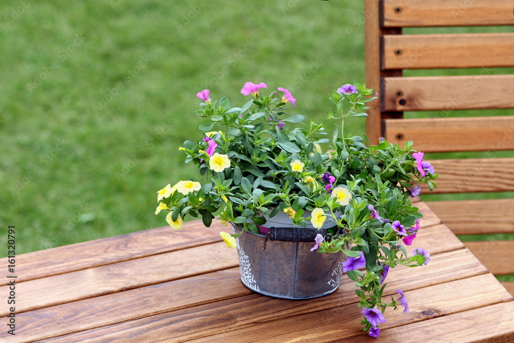 Pretty trailing petunias in a galvanised bucket on a wooden table