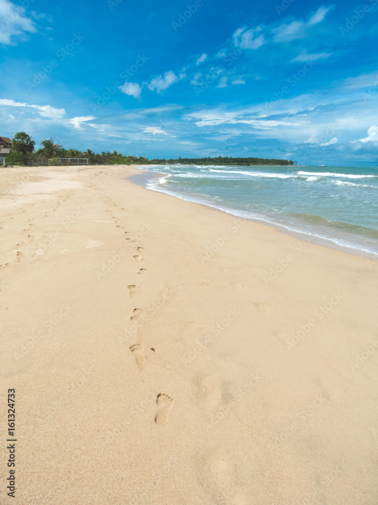 beach and tropical sea beach and tropical sea