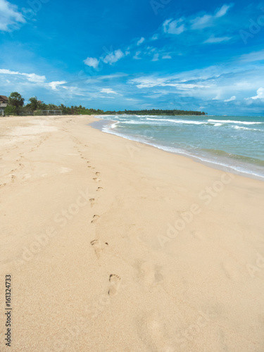  beach and tropical sea