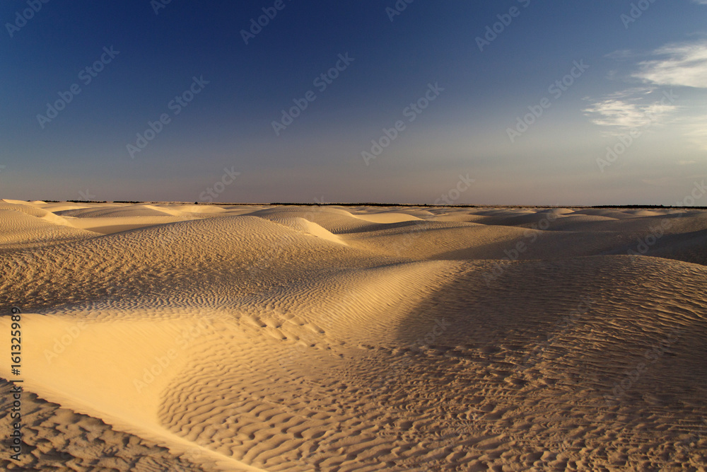 желтый песок и темное небо Stock Photo | Adobe Stock