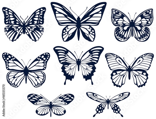 Naklejka Kolekcja sylwetki motyli. Ikony motyla. Ilustracji wektorowych.