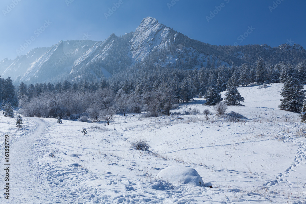 Snow Capped Mountain