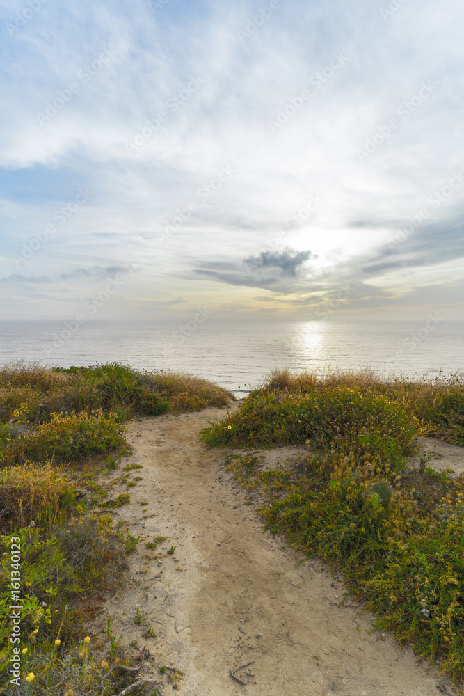 Torrey Pines, San Diego Beach, California