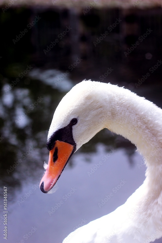 Obraz premium building landscape architecture sky beautiful view a nice place journey nature Rivers