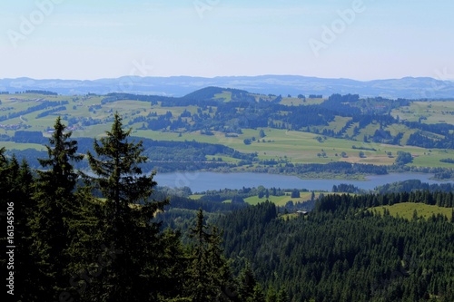 Blick durch Nadelbäume auf den Grüntensee mit weitem Panorama, Allgäu