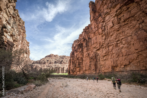 Group of Hikers backpacking through the Grand Canyon to Havasu Falls photo