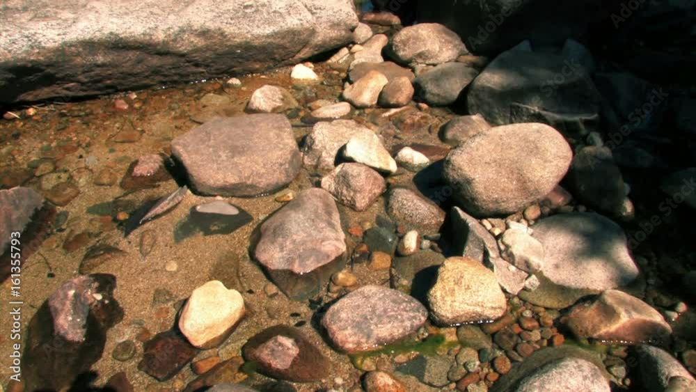 A small Creek in Yosemite National Park A small Creek in Yosemite National Park
