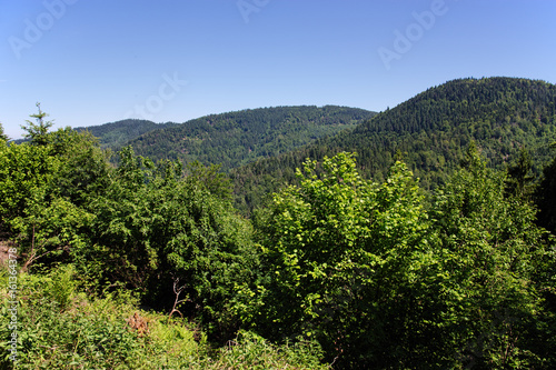 Black Forest hiking trail through the woods of Gertelbach in the Buehlertal, Germany