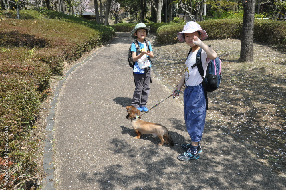 Φωτογραφία 秋の公園　少女　ペット　犬　散歩　横顔　子供　子供　楽しい　遠足　アジア人　日本人　兄弟