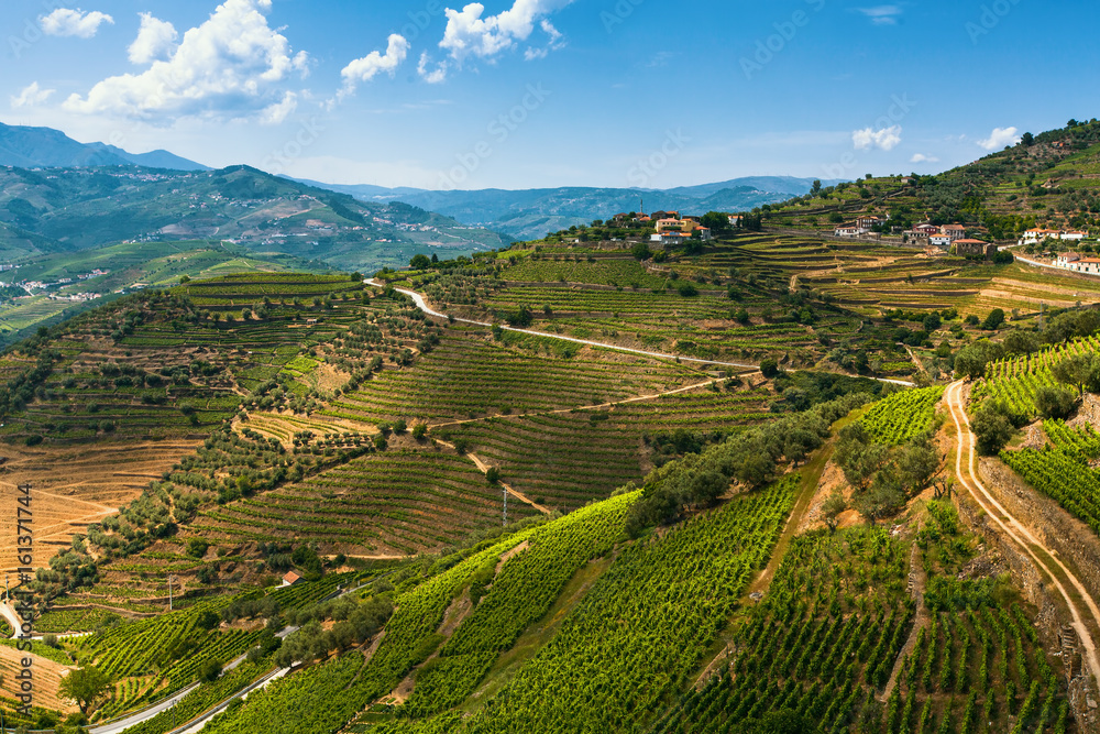 View of vineyards are on a hills Douro Valley, Portugal. .