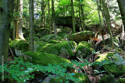 Black Forest hiking trail through the woods of Gertelbach in the Buehlertal, Germany photo