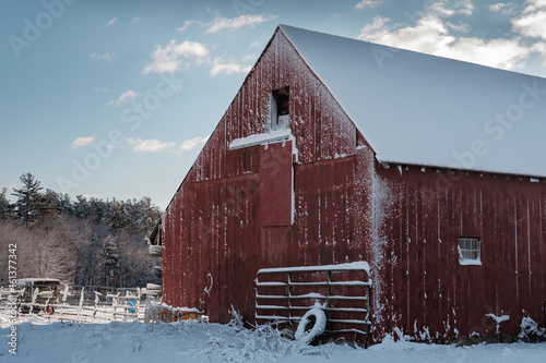 BarnStorm photo