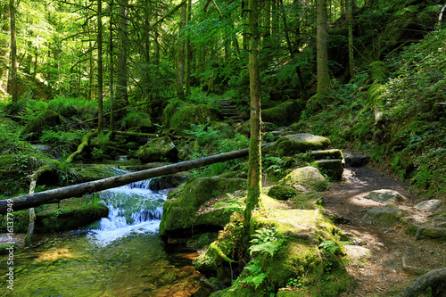 Gertelbach waterfalls  Black Forest  Germany