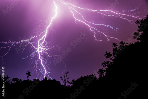Downward Lightning Stroke on Dark Purple Sky with Silhouette Forest