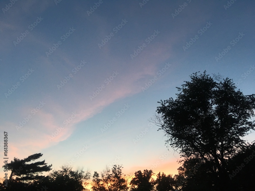 summer solstice sky at dusk with tree silhouettes