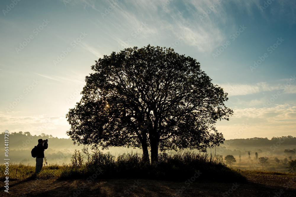 Photographers and big trees, pasture fields in the morning, and beautiful sky. Photographers and big trees, pasture fields in the morning, and beautiful sky.