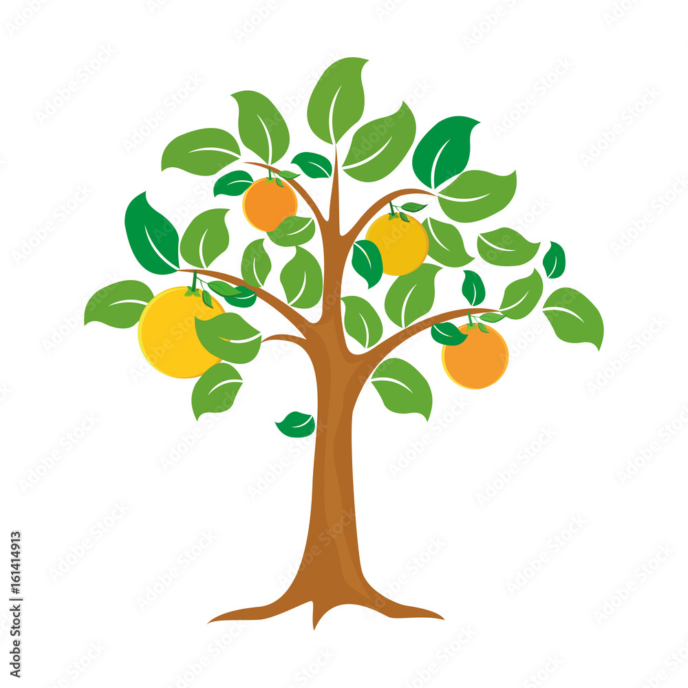 orange tree