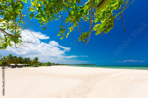 beautiful beach and tropical sea