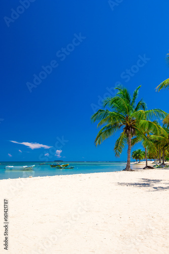 Fototapeta Naklejka Na Ścianę i Meble -   tropical beach