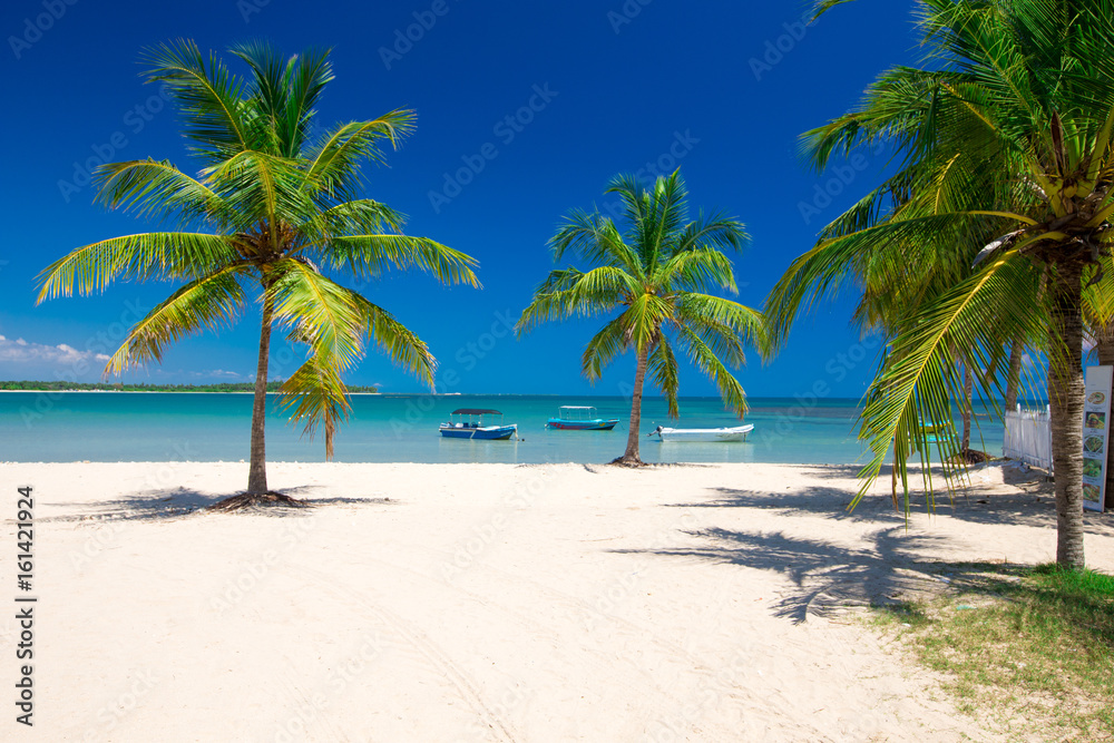 beautiful beach and tropical sea beautiful beach and tropical sea