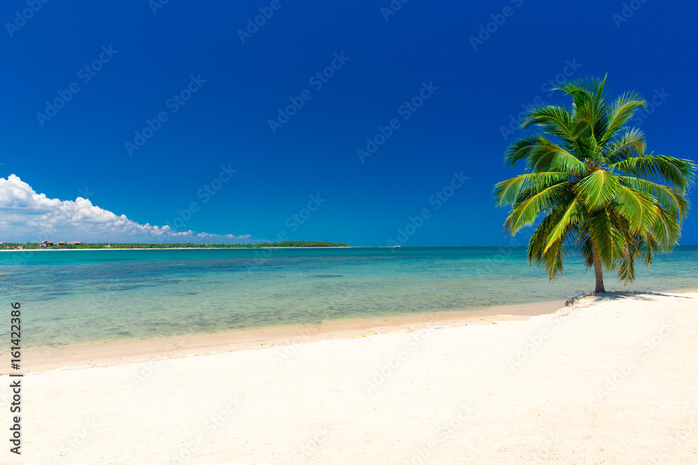 beautiful beach and tropical sea