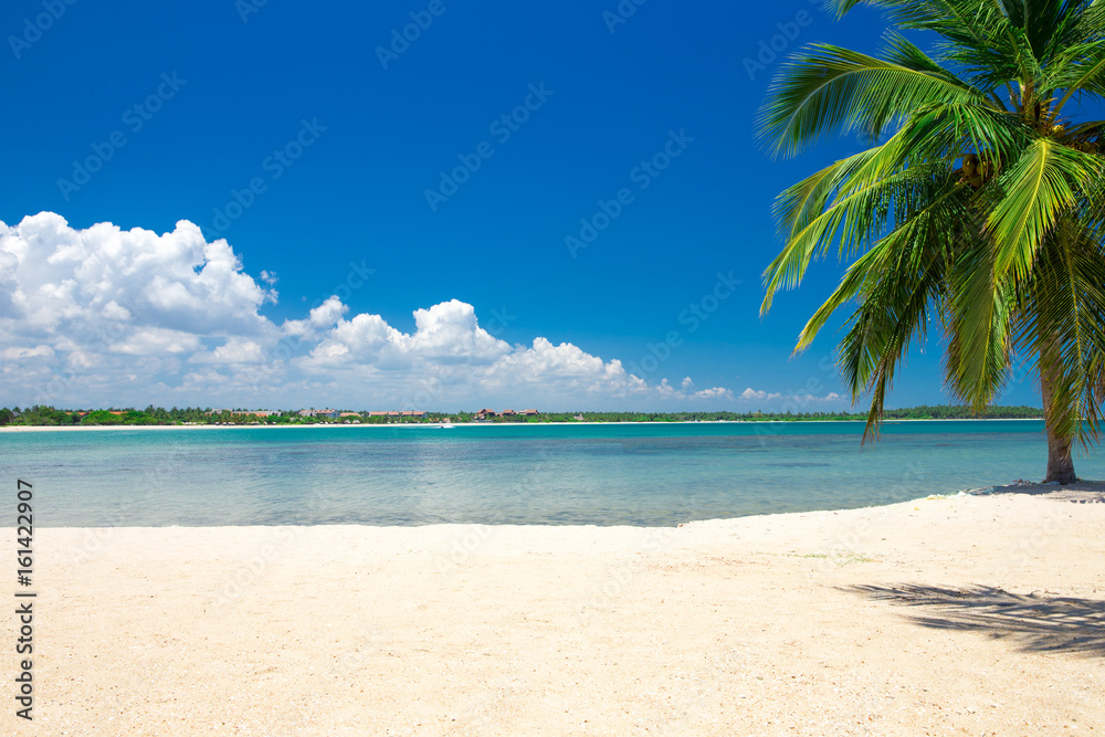 beautiful beach and tropical sea