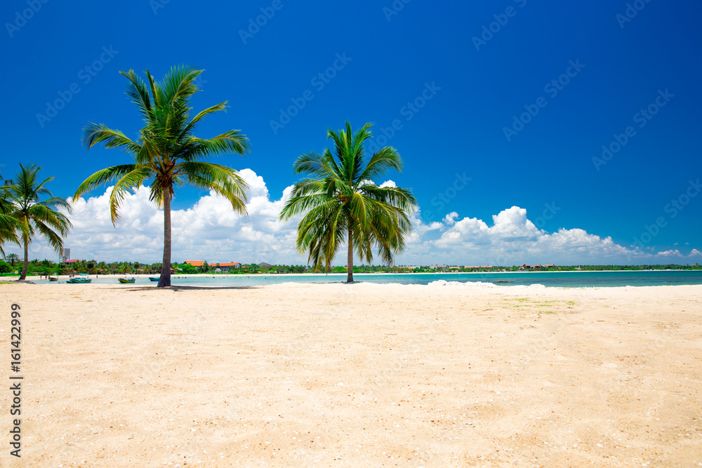 beautiful beach and tropical sea