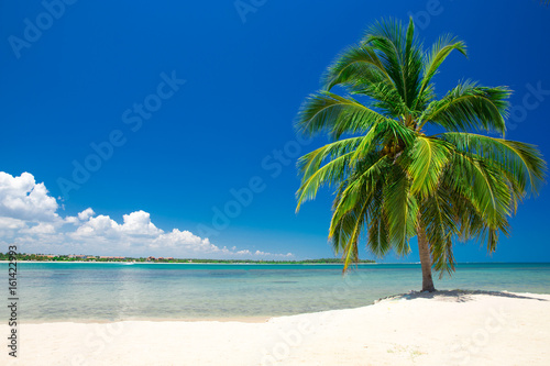  tropical beach