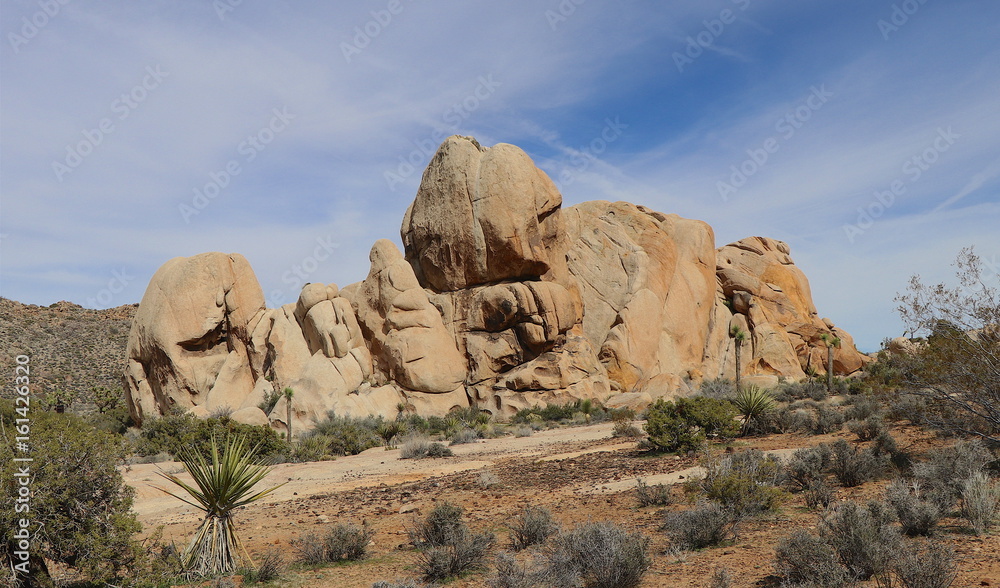 Joshua Tree National Park Joshua Tree National Park