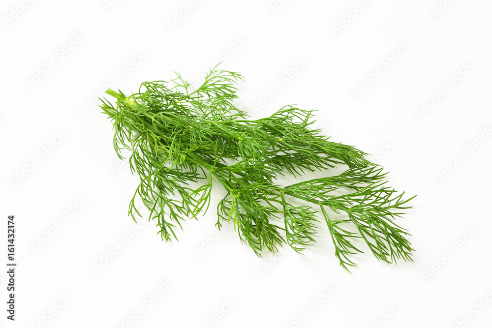 Fototapeta premium Fresh dill weed